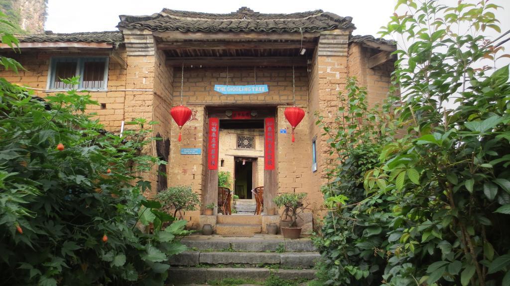 The Giggling Tree Hotell Yangshuo Exteriör bild